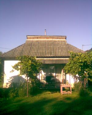 CASA CU TEREN