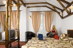 Pensiune Ambient 3* Brasov
