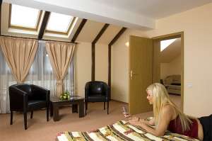 Pensiune Ambient 3* Brasov