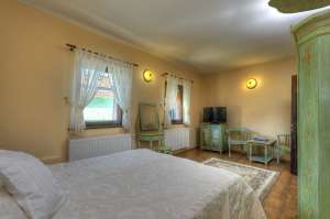Vila Ambient 5* Cristian Brasov