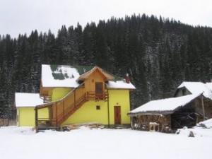 PROPRIETATE LA MUNTE