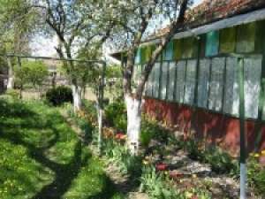 Vand/inchiriez casa in Fagaras sau schimb cu similar in Ploiesti sau jud Ilfov.