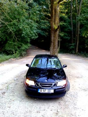 Vand Saab 93-vector ,    Fabricatie 2004