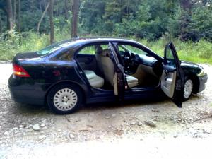 Vand Saab 93-vector ,    Fabricatie 2004