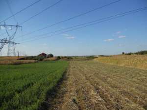 Glina,  teren intravilan industrial 5000 mp