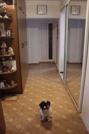 Vand Apartament