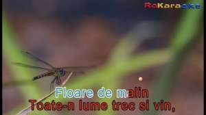 DVD original KARAOKE muzica romaneasca