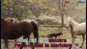DVD original KARAOKE muzica romaneasca