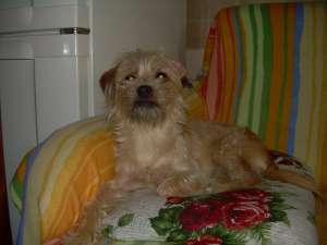 donatie