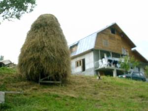 Pensiunea Casa Emanuel
