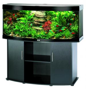 ACVARI LA COMANDA & PESTI EXOTICI PLANTE