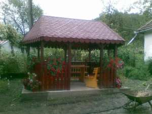 FOISOR FLAVI1