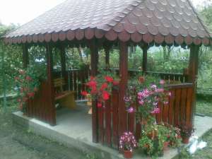 FOISOR FLAVI1