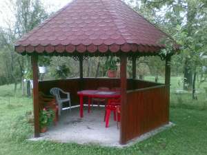 FOISOR FLAVI 2