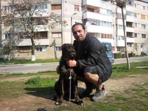 dresaj canin ORADEA