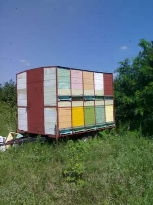 Vand minipavilion