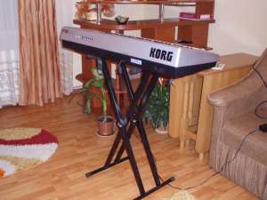 Korg pa50