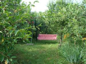 CASA DE VACANTA IN PARCUL NATURAL COMANA,  GIURGIU