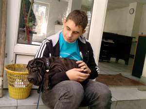Vand Shar-Pei