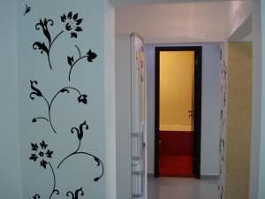 APARTAMENT 2 CAMERE DRUMUL TABEREI