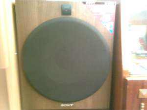 Boxe Technics,   Subwoofer Sony
