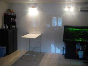 Cabinet veterinar Bucuresti