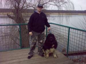 BEST DOGS dresaj canin de calitate