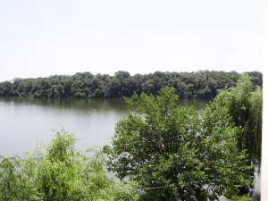 Reh008-Vanzare Vila Branesti Ilfov