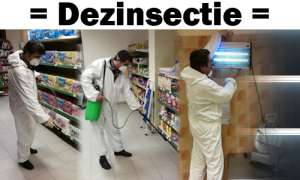 Servicii DDD