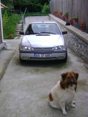 masini