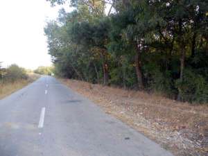 Padure de stejar si fag,  46 hectare,  la 45 km de Bucuresti