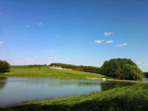 Balta de vanzare,  9 hectare,  jud Giurgiu
