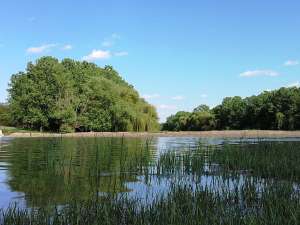 Balta de vanzare,  9 hectare,  jud Giurgiu