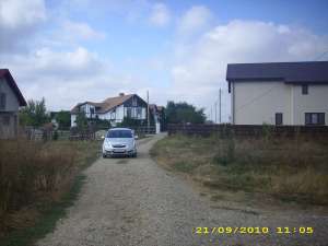 SNGOV CIOFLICENI LINGA HERGHELIE