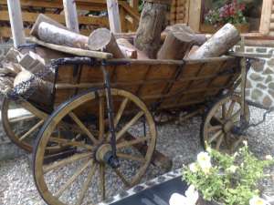vand urgent caruta rustica