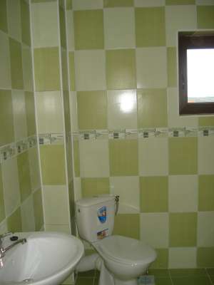 vila popas pacurari(alea cu cirese)
