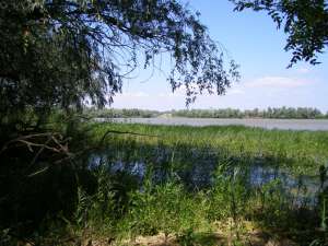 Teren in Delta Dunarii
