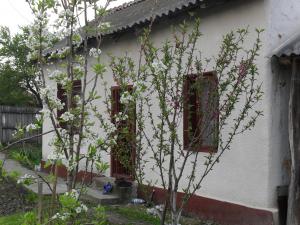 CASA IN DEVESEL