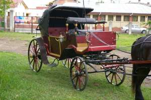 vanzare trasura