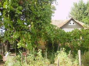 De vanzare casa 4 camere