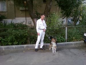 Pierdut metis Collie