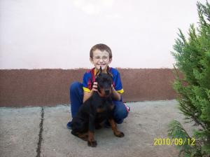vand catei dobermann