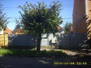 vand casa satu mare