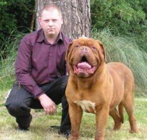 mascul Dog de Bordeaux cu Pedigree