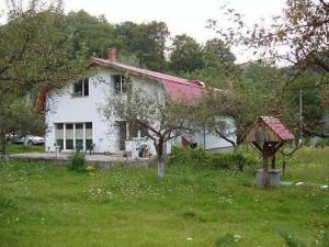 Vand Vila Arges