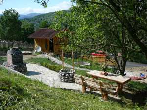 Cabana cu teren