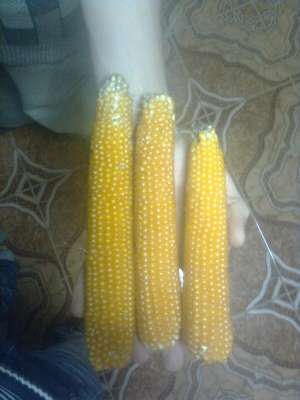 Popcorn