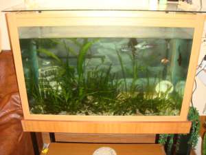 SUper pret  acvariu deosebit 300 L