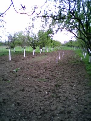 VAND CASA LANGA CAMPINA