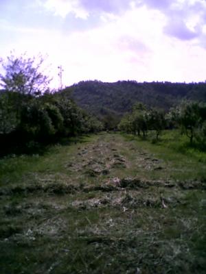 VAND CASA LANGA CAMPINA